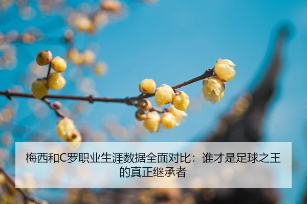 mei-xi-he-luo-zhi-ye-sheng-ya-shu-ju-quan-mian-dui-bi-shui-cai-shi-zu-qiu-zhi-wang-de-zhen-zheng-ji-cheng-zhe-2-534.jpg